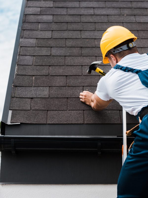 Couvreur Roncq - Alturas Abri